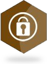 it security course