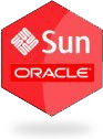 Oracle SCM Icon